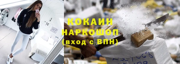 бошки Бронницы