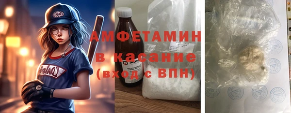 дживик Бородино