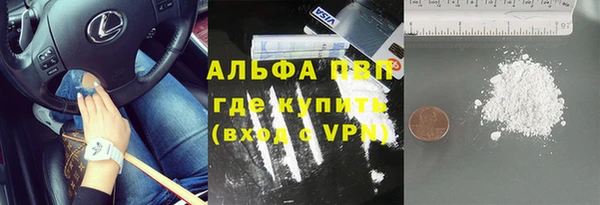 дживик Бородино