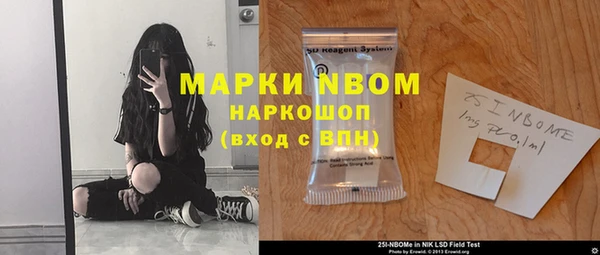 дживик Бородино