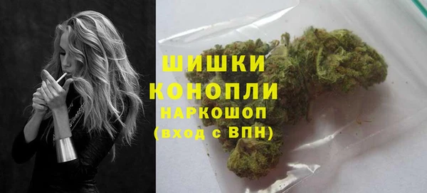 бошки Бронницы
