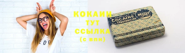 дживик Бородино