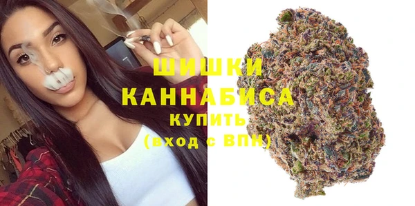 дживик Бородино