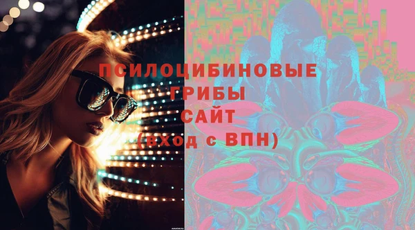 ПСИЛОЦИБИНОВЫЕ ГРИБЫ Бугульма