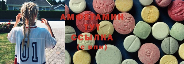 дживик Бородино