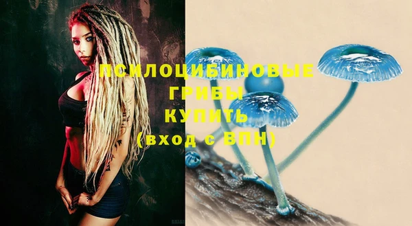дживик Бородино