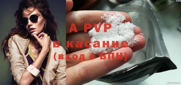 дживик Бородино