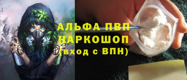 дживик Бородино
