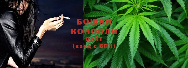дживик Бородино