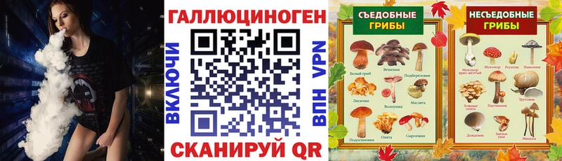 Галлюциногенные грибы прущие грибы  Купить  Тайшет 